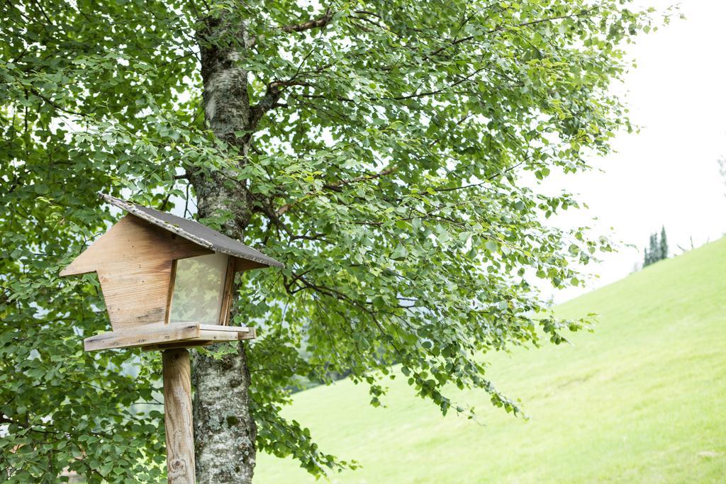 Ferienhaus Sara Bad Kleinkirchheim Exterior foto